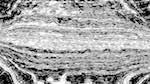 Fifth of 'reflets &mdash; paint action sequence &mdash; bw effects 1'.