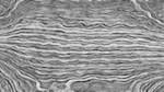 First of 'reflets &mdash; paint action sequence &mdash; bw effects 2'.