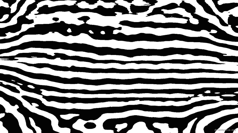 Image 'reflets &mdash; msg &mdash; processing effects 1 bw form 1 1 3'.