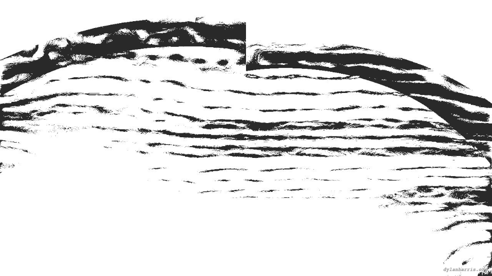 Image 'reflets &mdash; msg &mdash; processing effects 1 bw form 1 1 7'.