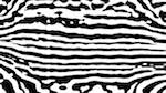 Third of 'reflets &mdash; msg &mdash; processing effects 1 bw form 1 1'.