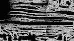 Second of 'reflets &mdash; msg &mdash; processing effects 1 bw form 1 1'.
