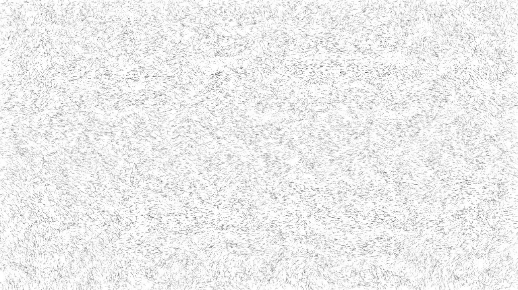 image: an image