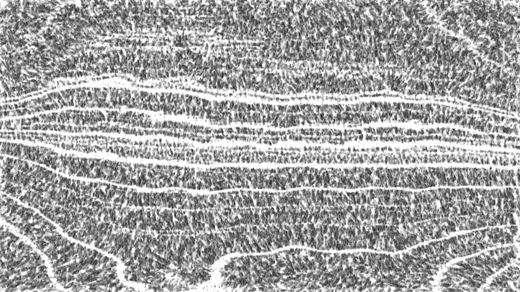 image: an image