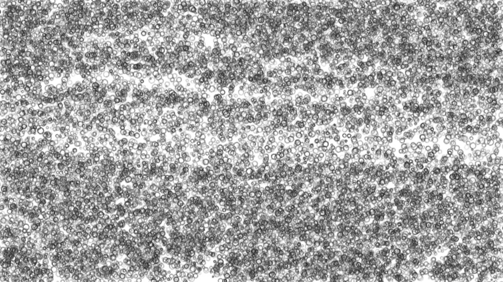 image: an image