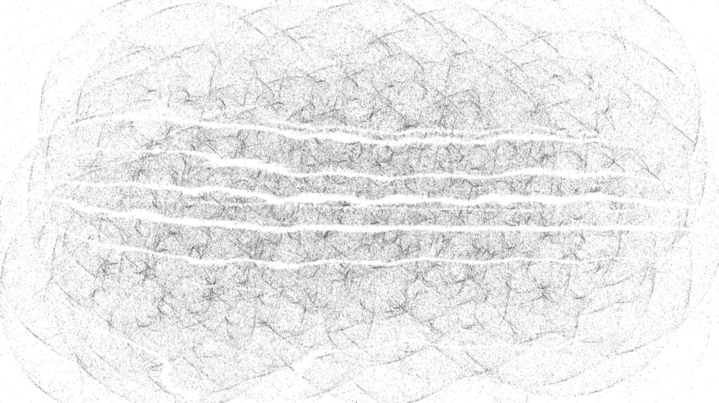 image: an image