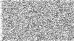 image: an image
