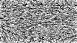 image: an image