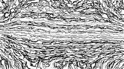 image: an image