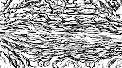 image: an image