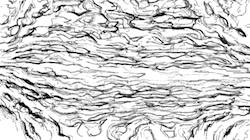 image: an image