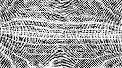 image: an image
