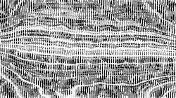 image: an image