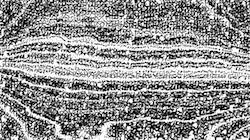 image: an image