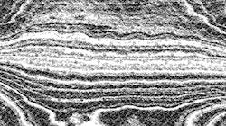 First of 'reflets &mdash; paint synthesiser classic &mdash; 3.5 collection BW hatching 2'.
