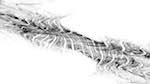 Fourth of 'reflets &mdash; msg &mdash; abstract 1 bw new 1'.