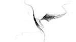 Eighth of 'reflets &mdash; msg &mdash; abstract 1 bw new 2'.