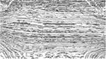 Second of 'reflets &mdash; paint action sequence &mdash; bw sketch examples 1'.