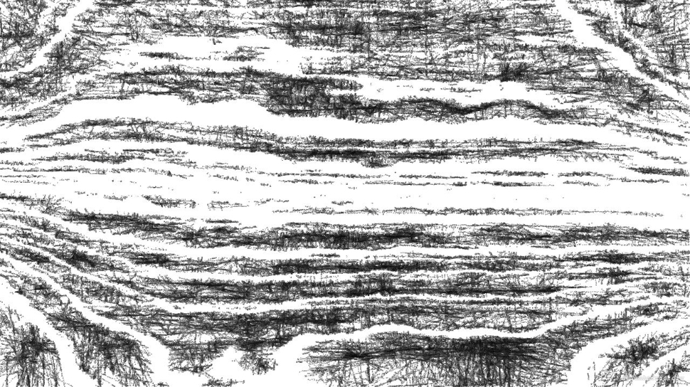Image 'reflets &mdash; paint action sequence &mdash; BW sketch ideas 1 1 8'.