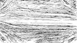 Third of 'reflets &mdash; paint action sequence &mdash; BW sketch ideas 1 2'.
