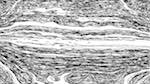 Fifth of 'reflets &mdash; paint action sequence &mdash; BW sketch ideas 1 2'.
