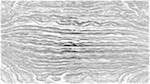 Sixth of 'reflets &mdash; paint action sequence &mdash; BW sketch ideas 2'.