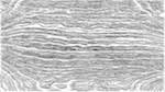 Seventh of 'reflets &mdash; paint action sequence &mdash; BW sketch ideas 2'.