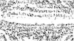 Eighth of 'reflets &mdash; paint action sequence &mdash; BW sketch ideas 2'.