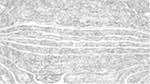 First of 'reflets &mdash; image operation &mdash; z&ndash;new bwsketch 2'.