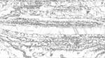 Sixth of 'reflets &mdash; msg &mdash; processing effects 1 ca noise proc 1'.