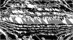 Seventh of 'reflets &mdash; msg &mdash; processing effects 1 ca noise proc 1'.