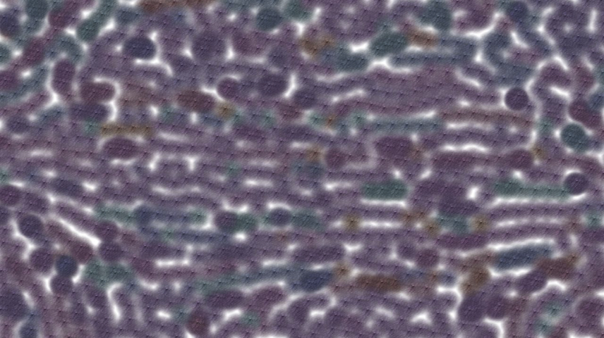 Image 'reflets &mdash; paint synthesiser classic &mdash; users chuck&rsquo;s beta test 3 4'.