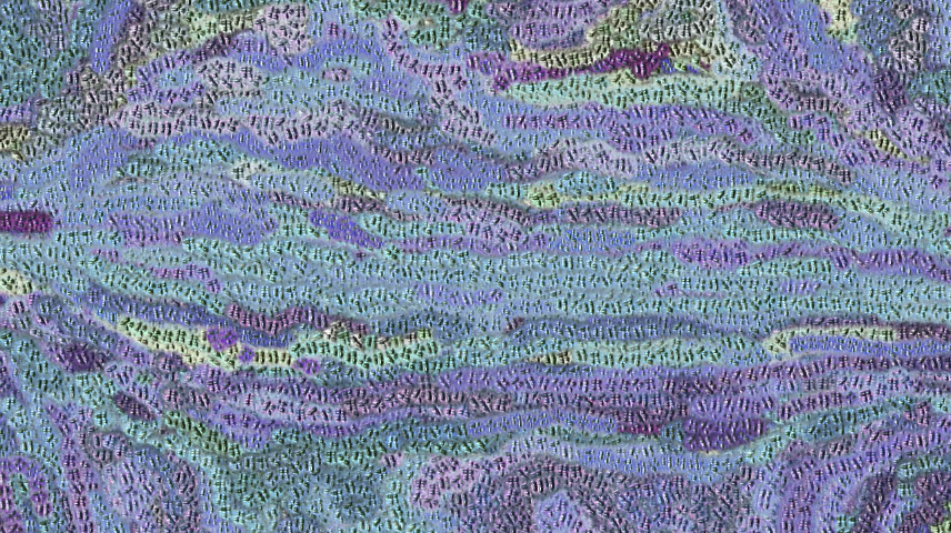 Image 'reflets &mdash; paint synthesiser classic &mdash; users chuck&rsquo;s beta test 4 8'.
