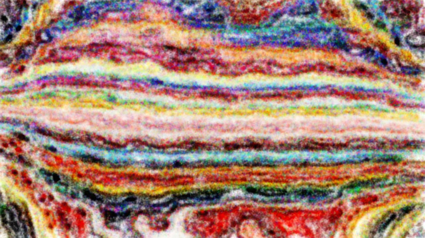 image: an image