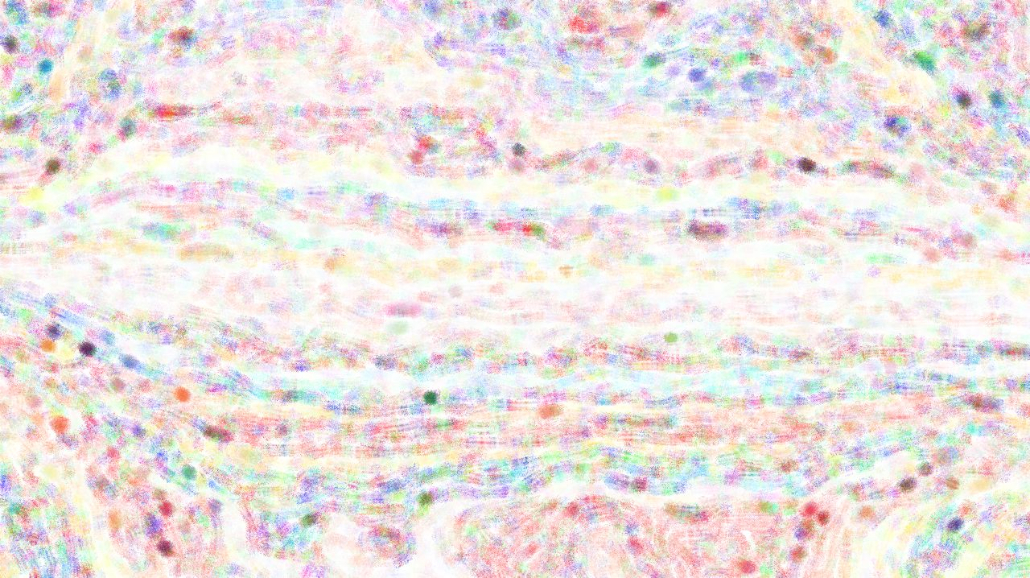image: an image