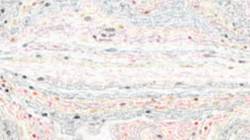Fourth of 'reflets &mdash; paint synthesiser classic &mdash; default chalk 3'.