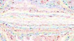 Eighth of 'reflets &mdash; paint synthesiser classic &mdash; default chalk 3'.