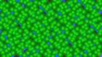 image: an image