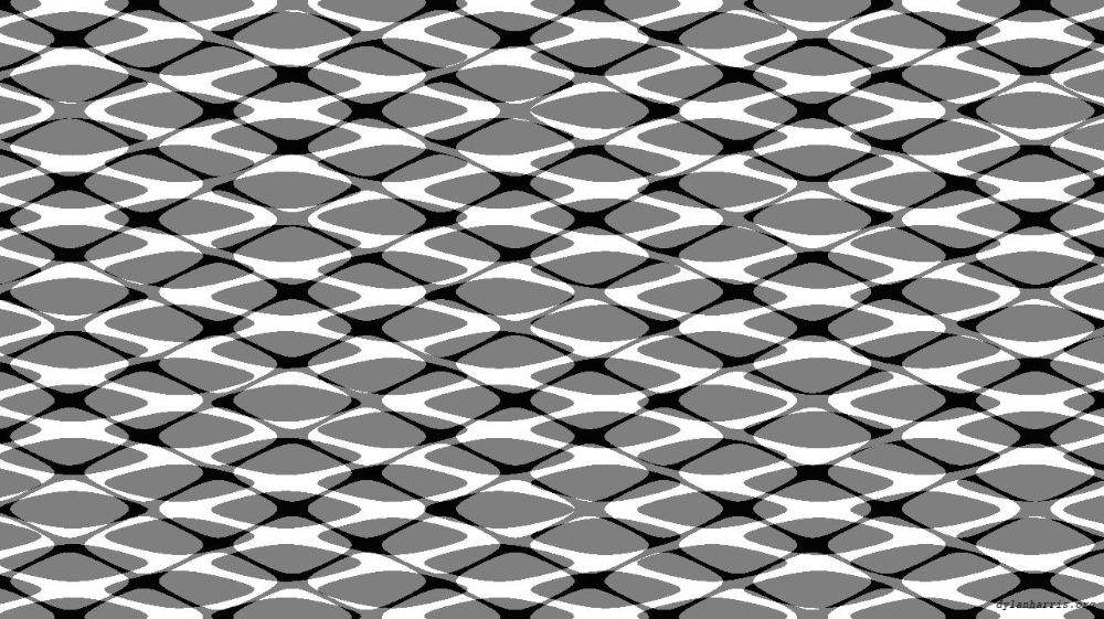 Image 'reflets &mdash; msg &mdash; users chaos 1 6'.