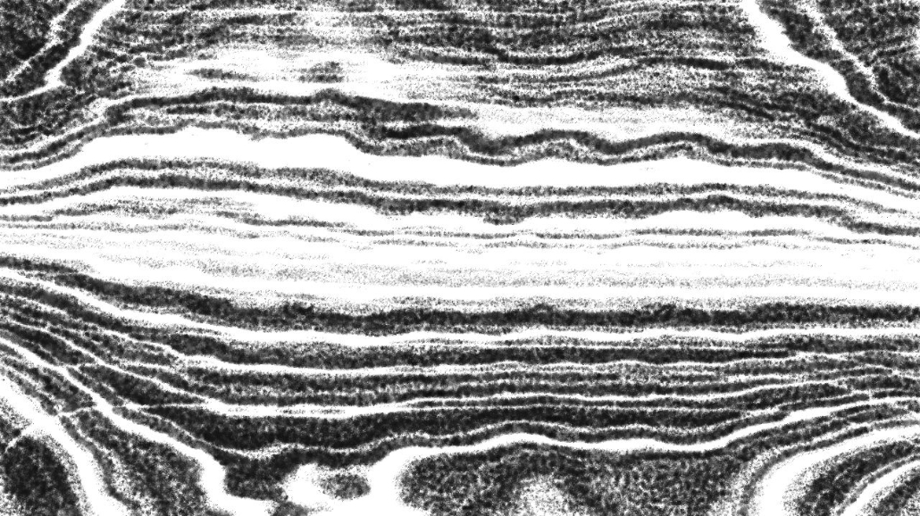 image: an image