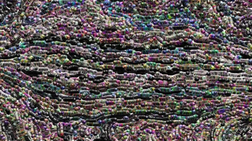 image: an image