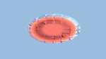 Fifth of 'reflets &mdash; msg &mdash; variations 1 circular 1'.