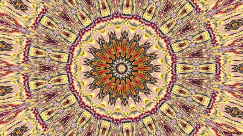 image: an image