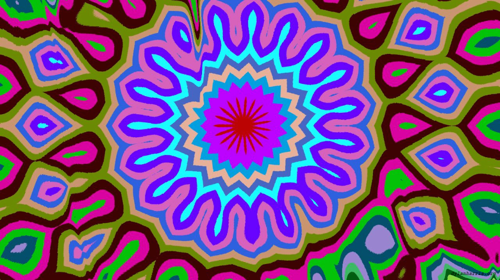 image: an image