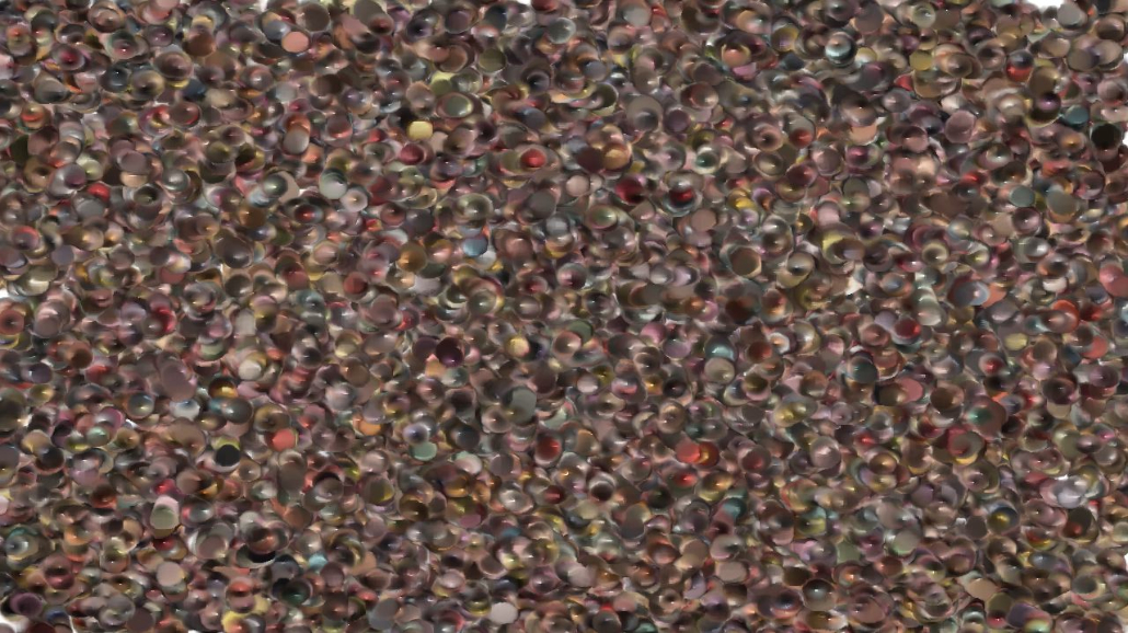 image: an image
