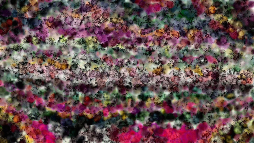 image: an image