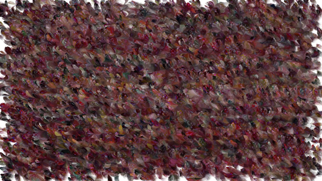 image: an image
