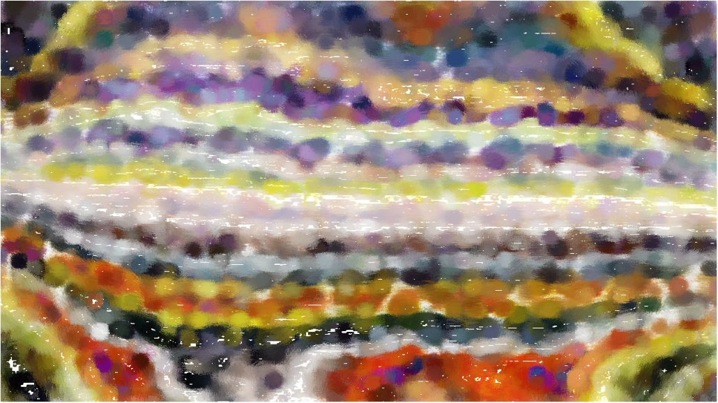 image: an image