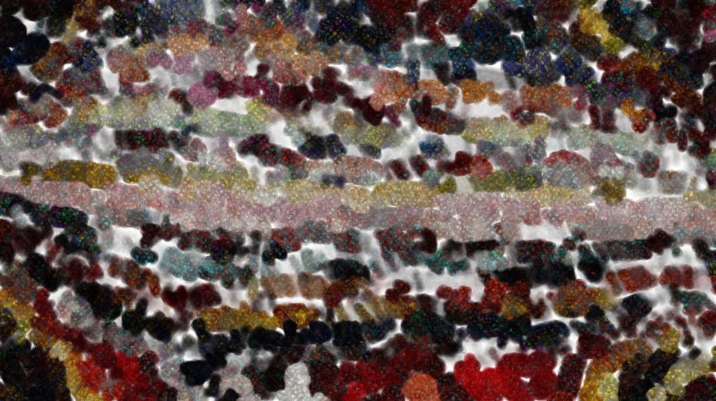 image: an image