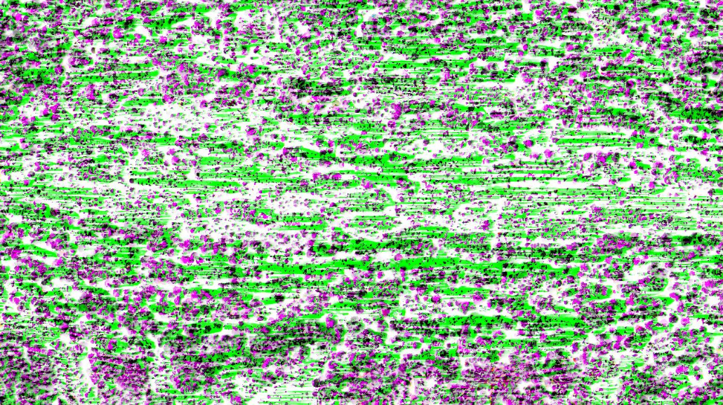 image: an image
